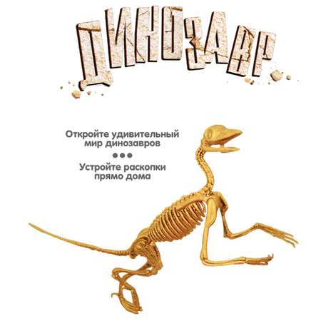 Набор для раскопок Bondibon