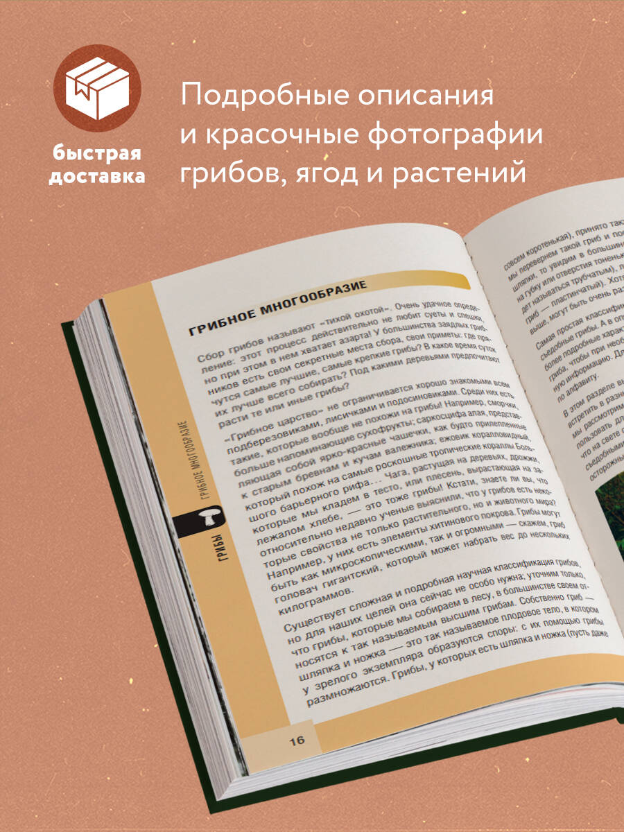 Книга Эксмо Лесной гид: грибы, ягоды, травы. Карманный атлас-определитель - фото 2