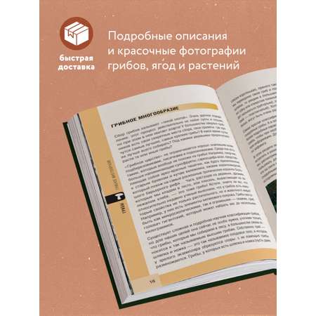 Книга Эксмо Лесной гид: грибы, ягоды, травы. Карманный атлас-определитель
