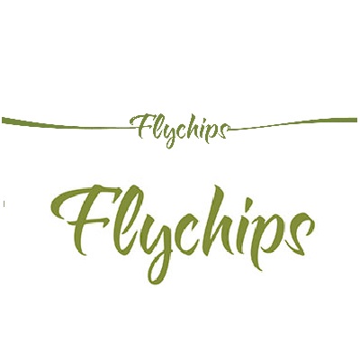 Flychips