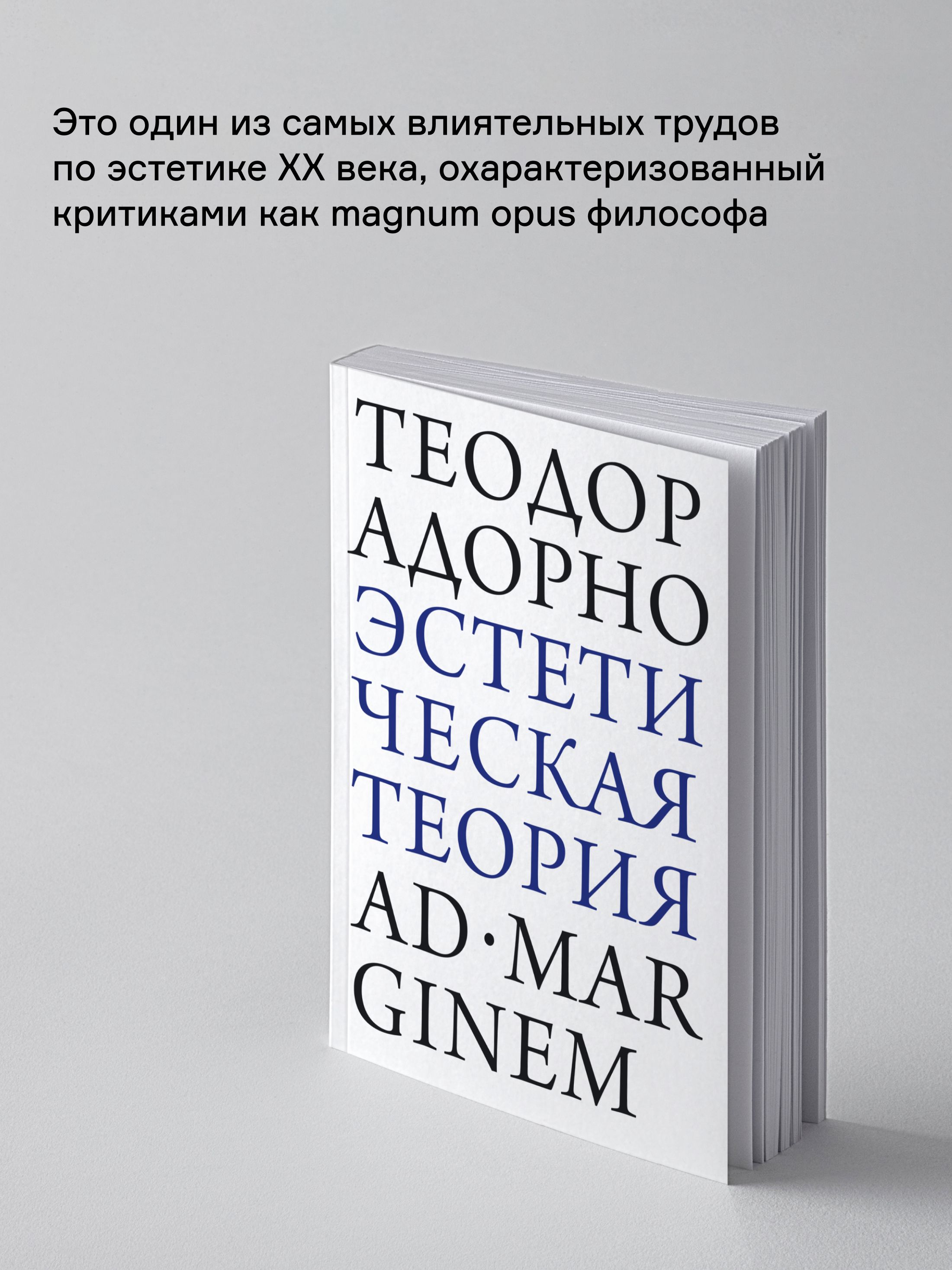 Книга Ad Marginem Эстетическая теория - фото 2