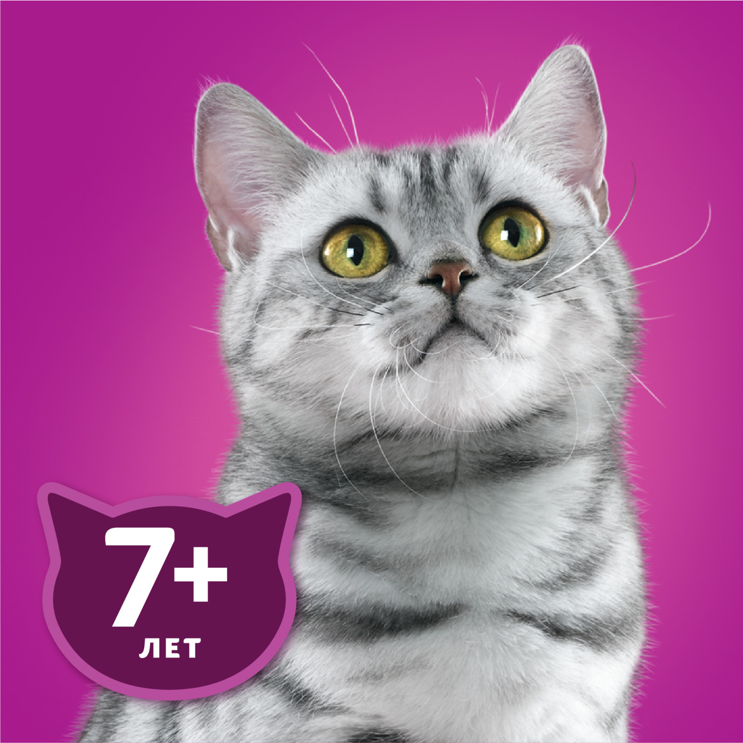 Корм для взрослых кошек Whiskas старше 7лет рагу с ягненком 75г - фото 6
