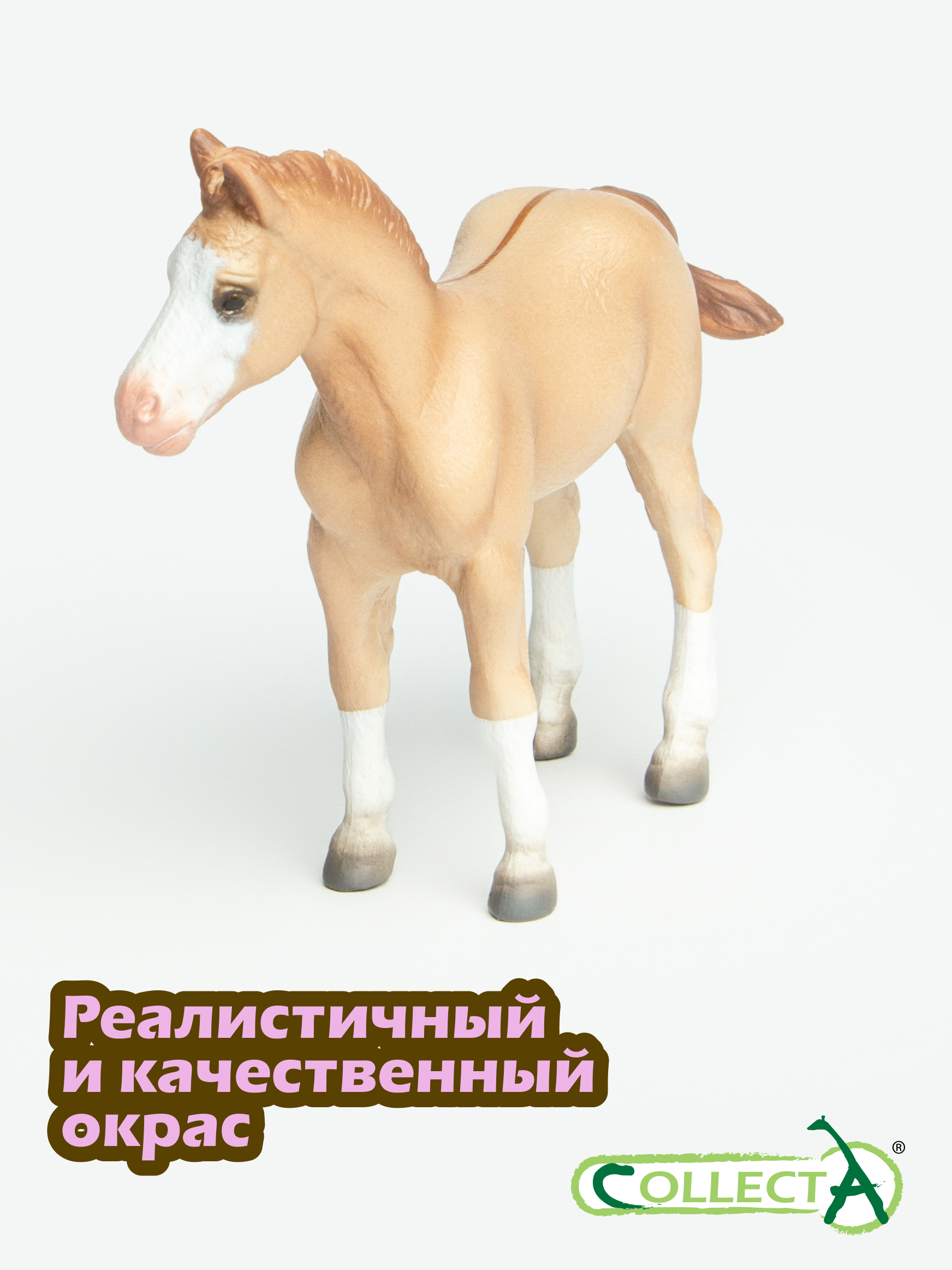 Фигурка Collecta Жеребёнок Кватерхорс - фото 4