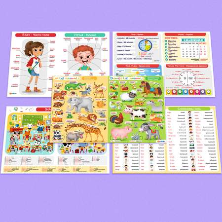Настольная игра IQ-ZABIAKA Учим английский язык
