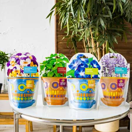 Набор для выращивания Happy Plant