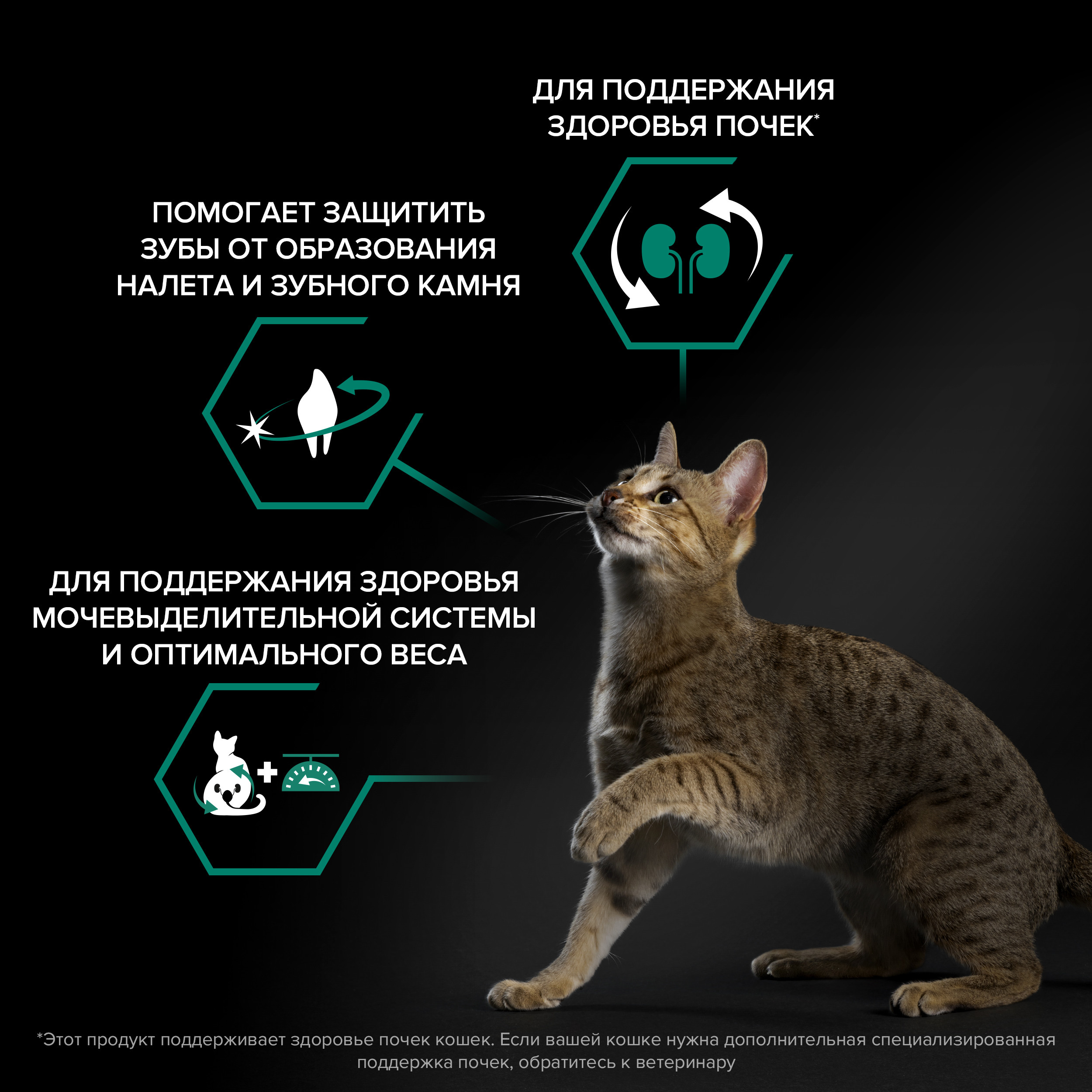 Корм сухой для кошек PRO PLAN RENAL PLUS 400г с лососем для стерилизованных - фото 3