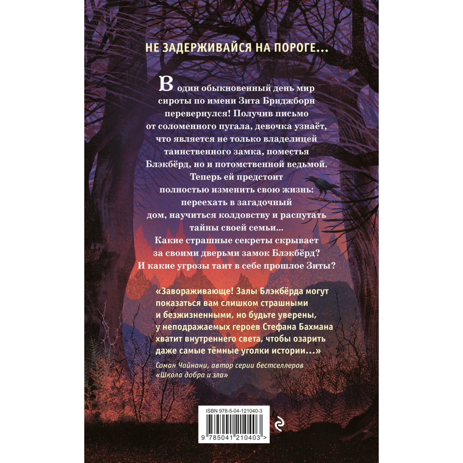 Книга Тишина в замке Блэкбёрд - фото 10