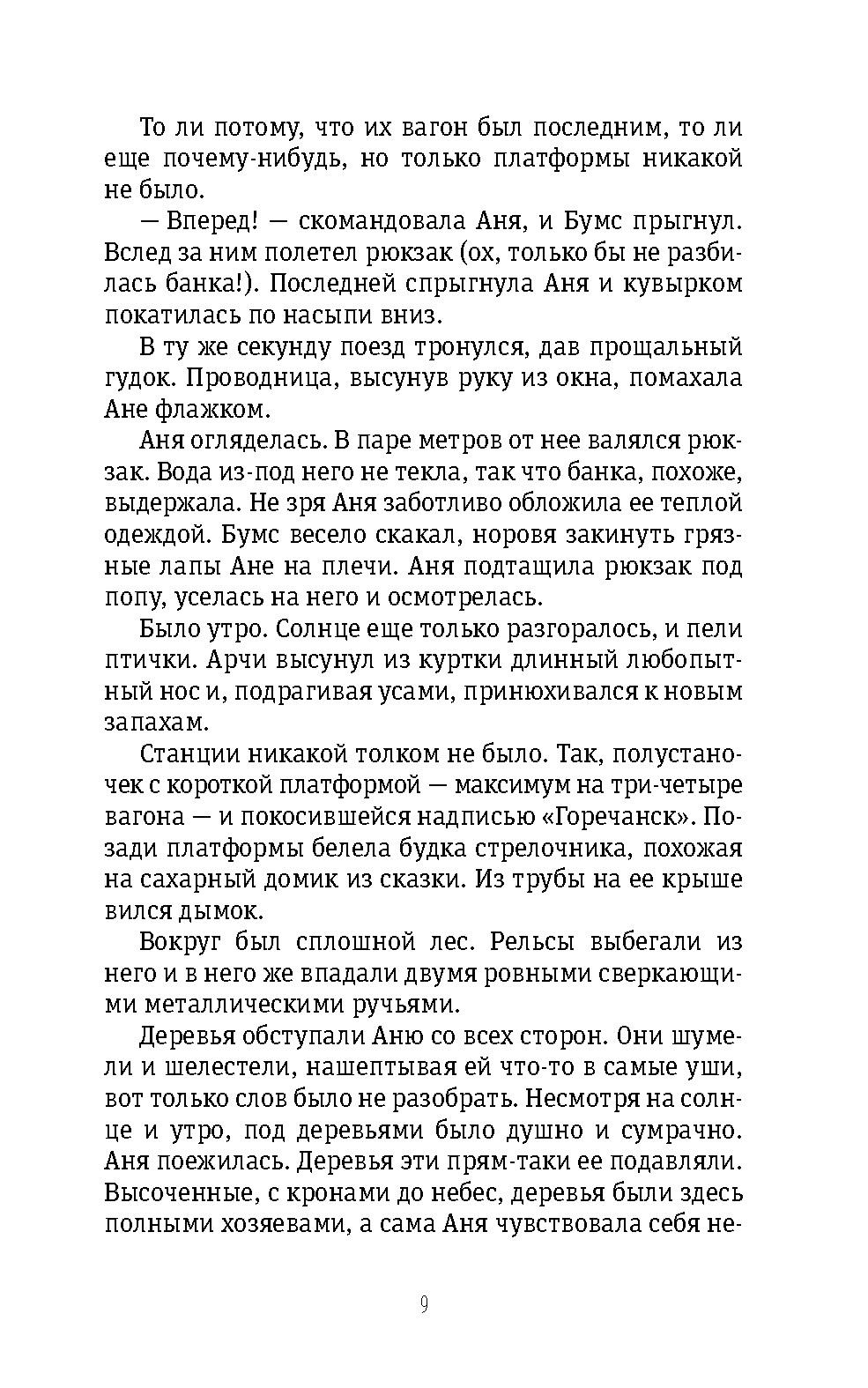 Книга Время Сказка о городе Горечанске - фото 7
