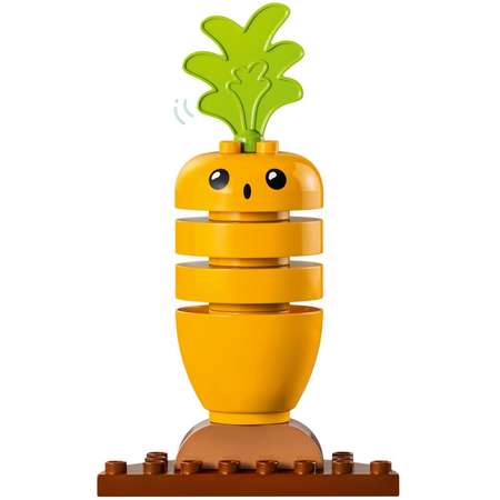 Конструктор LEGO DUPLO Organic Garden блочный