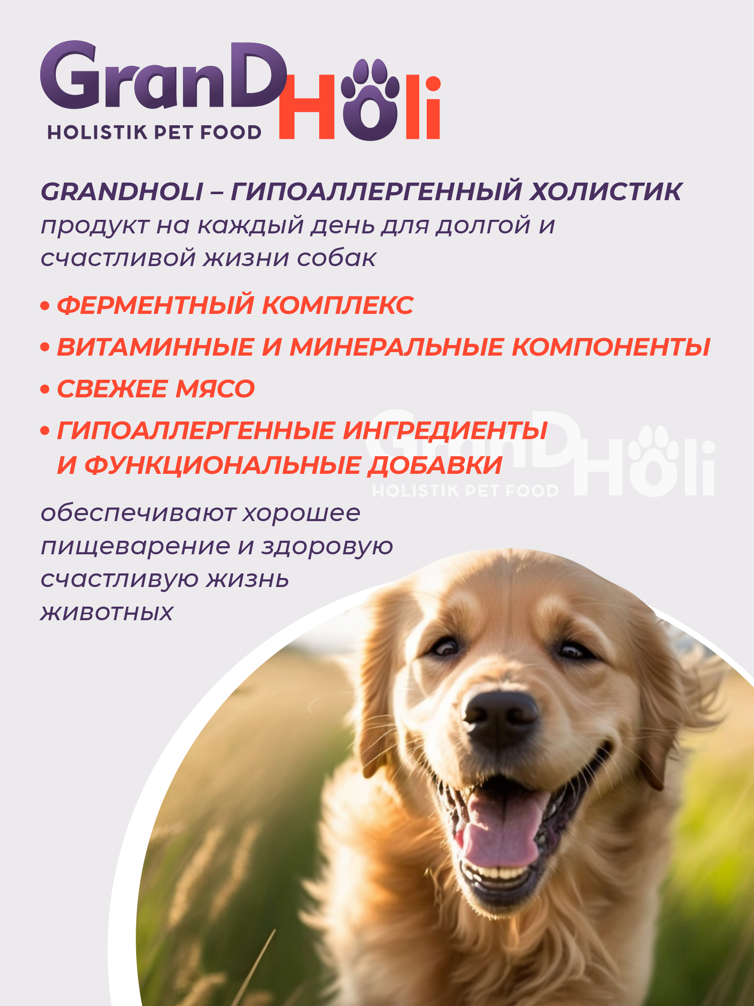Сухой корм для собак GRANDHOLI Для крупных и средних пород Говядина с овощами 12 кг - фото 10