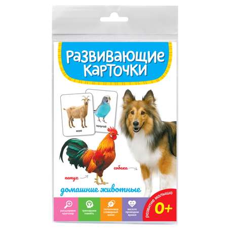 Карточки развивающие Проф-Пресс Домашние животные