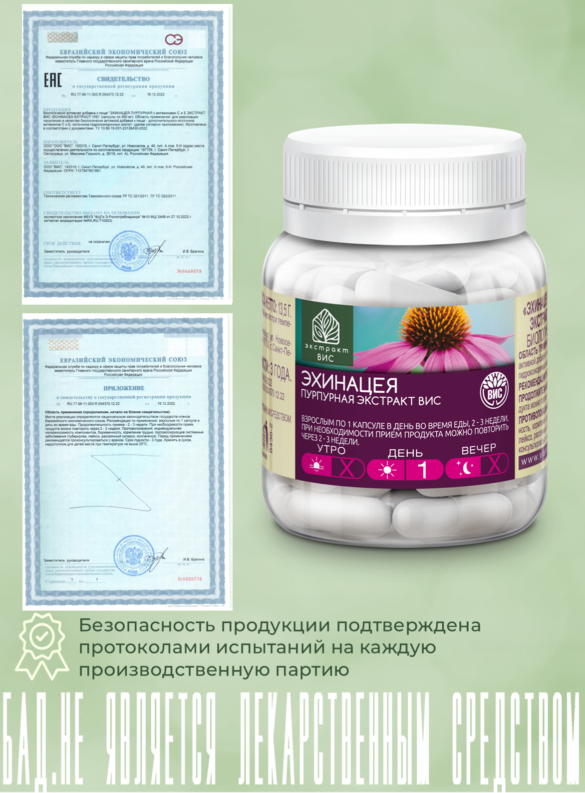 БАД Экстракт-ВИС Эхинацея пурпурная с витаминами С и Е - фото 5