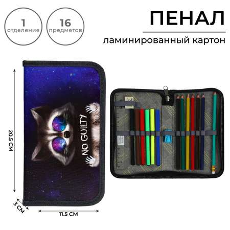 Пенал Calligrata