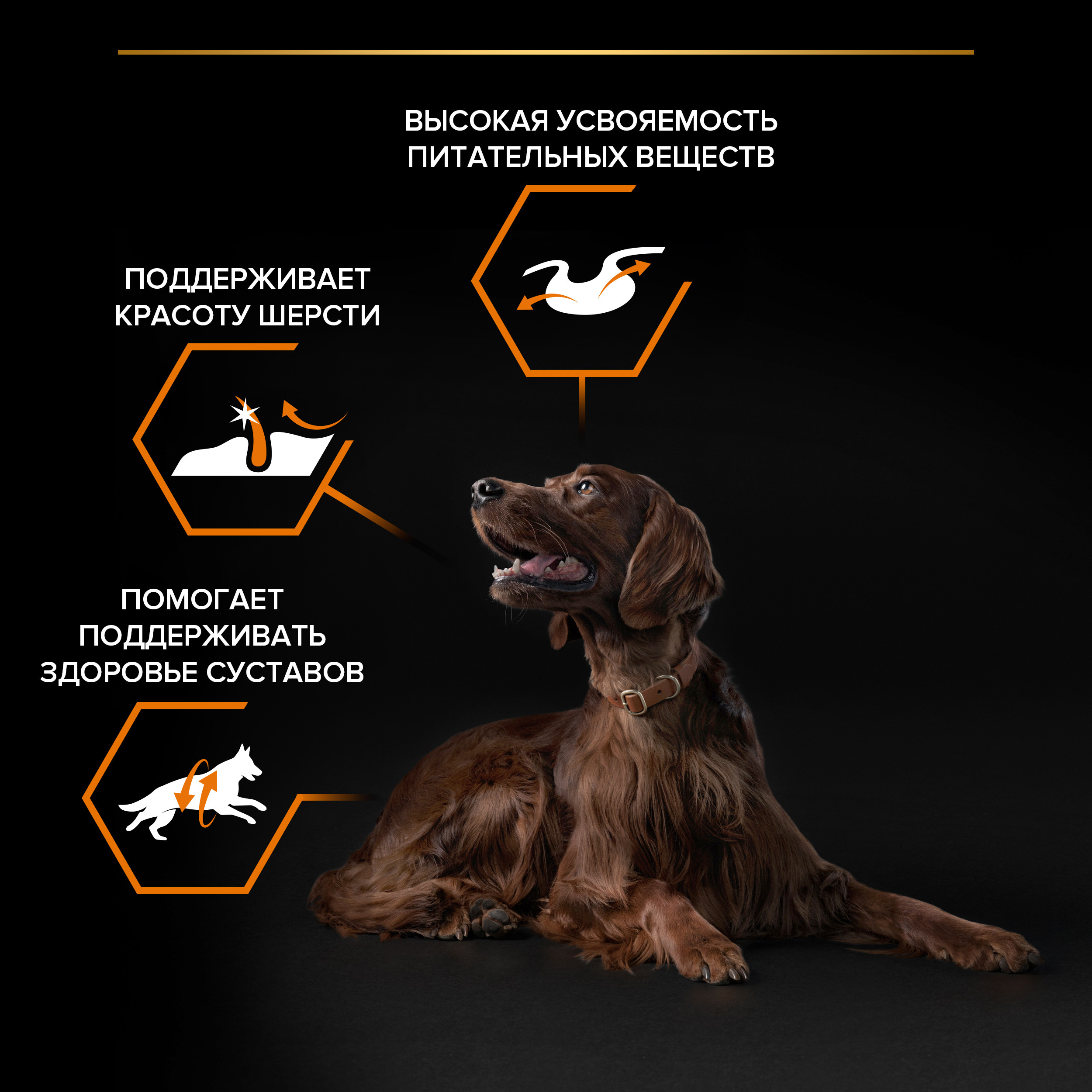 Корм для собак PRO PLAN крупных пород с атлетическим телосложением с комплексом Optibalance с высоким содержанием курицы 14кг - фото 3