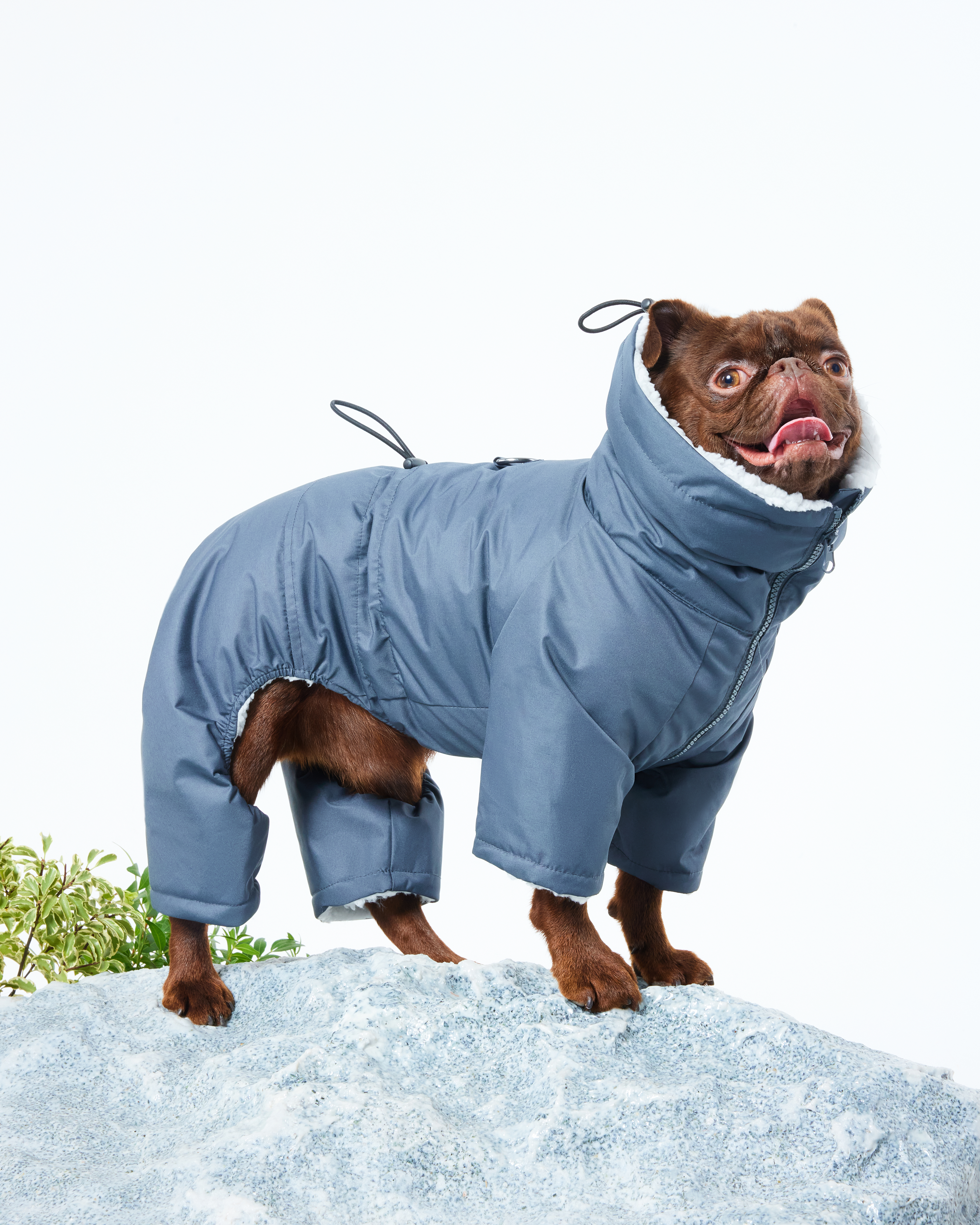 Комбинезон для собак и кошек Зоозавр - фото 11