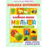Книга Проф-Пресс Главная книга малыша. Овощи фрукты и многое другое