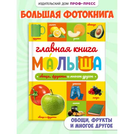 Книга Проф-Пресс Главная книга малыша. Овощи фрукты и многое другое