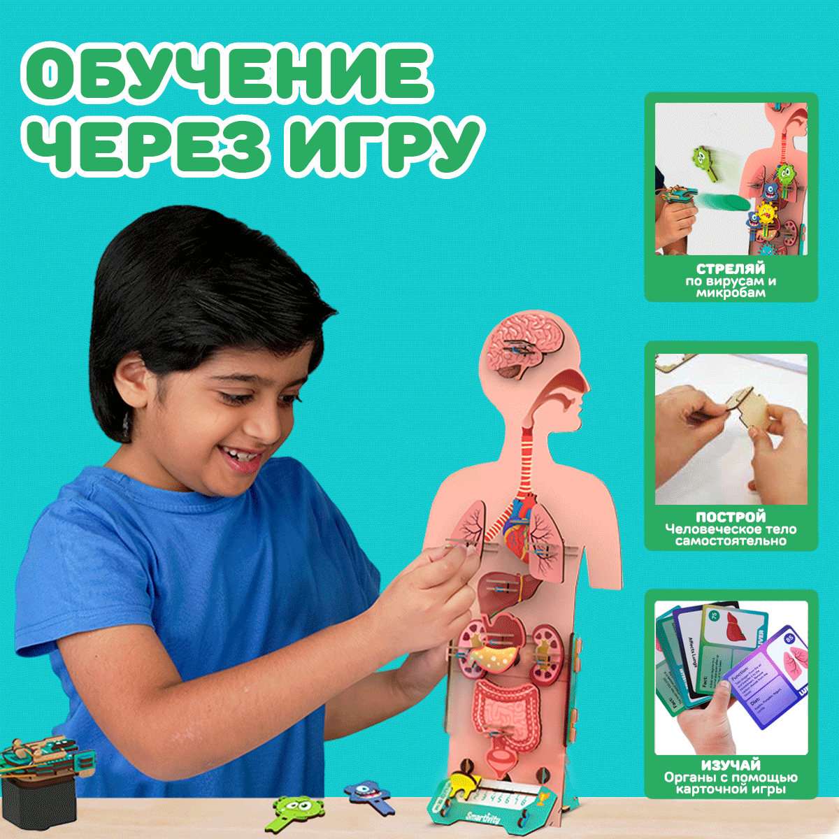 Конструктор Smartivity Человеческое тело SMRT1222 - фото 3