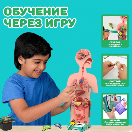 Конструктор Smartivity Человеческое тело