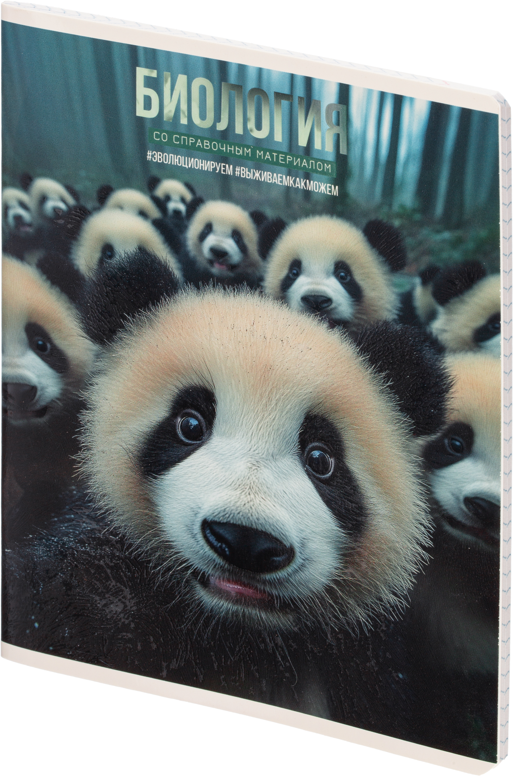 Тетрадь Комус клетка - фото 35