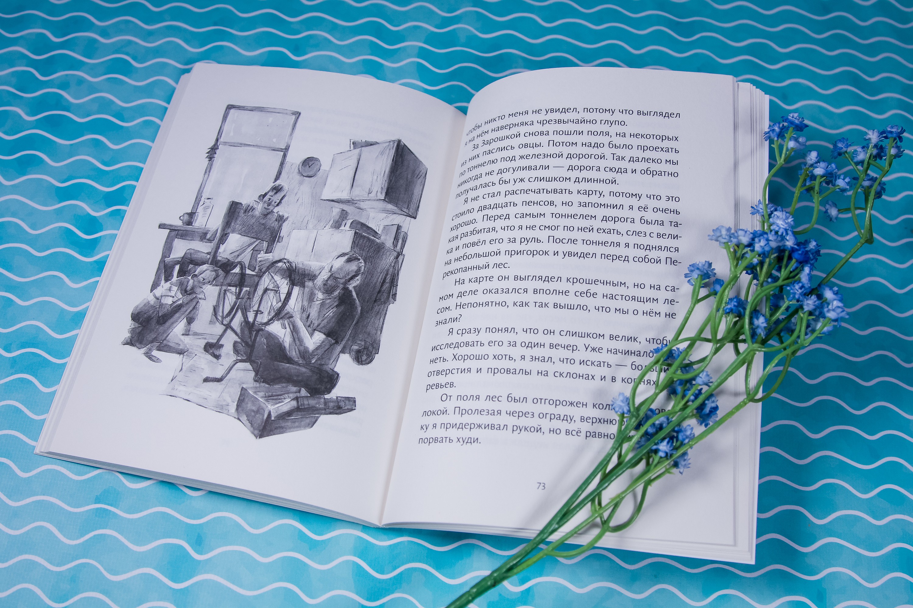 Книга Волчок Барсук - фото 6