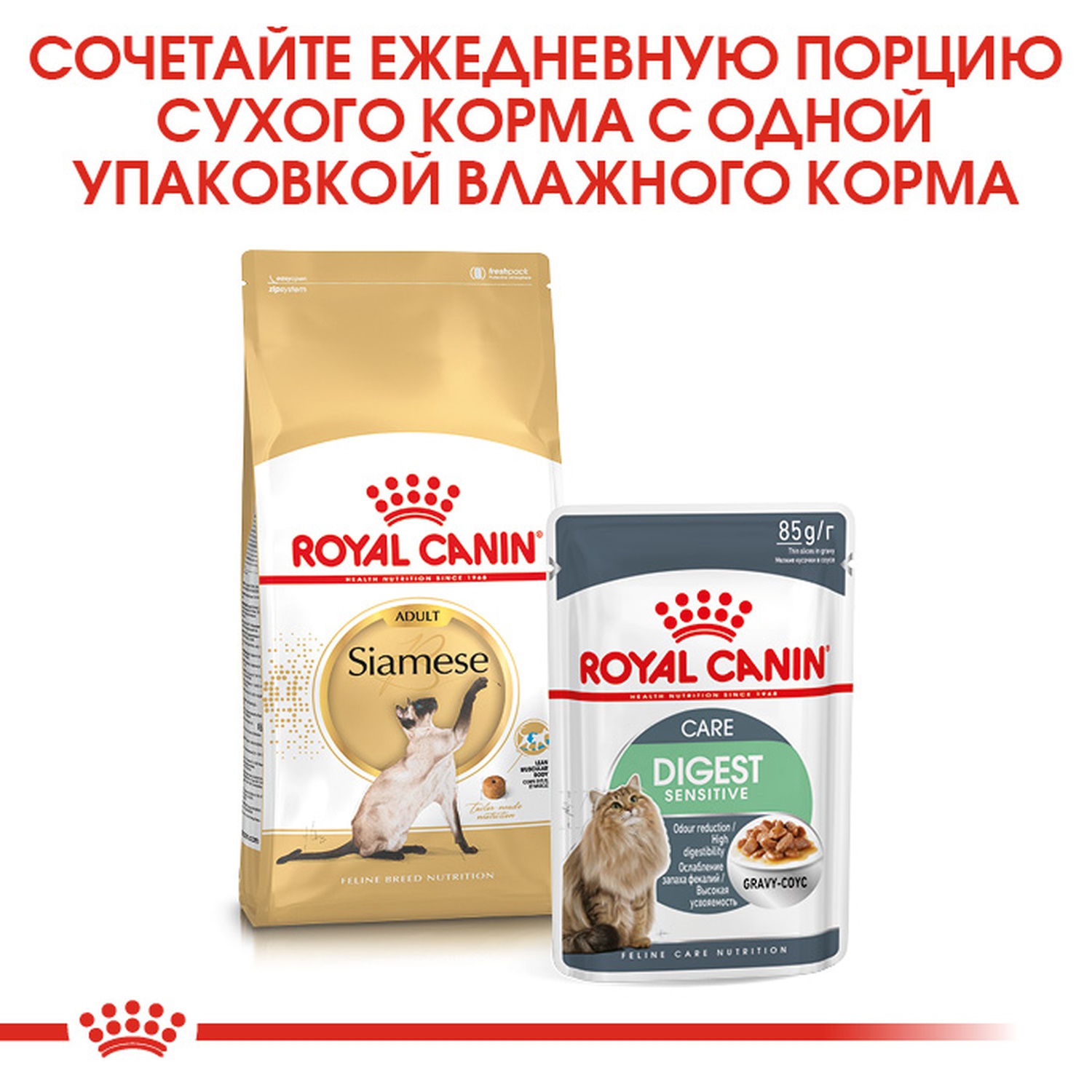Корм сухой для кошек ROYAL CANIN Siamese 400г сиамских - фото 8