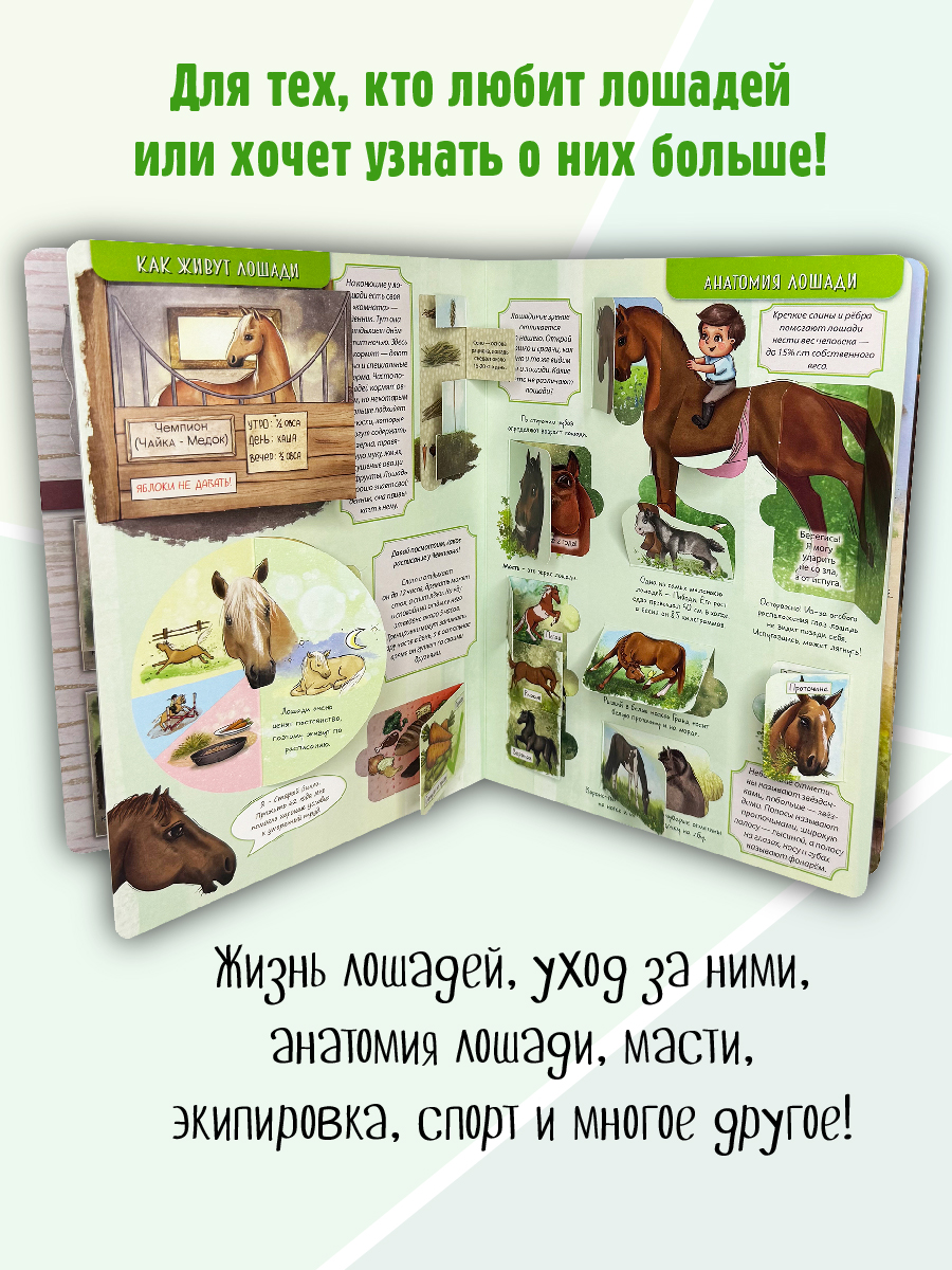 Энциклопедия с окошками БимБиМон книга детская - фото 4