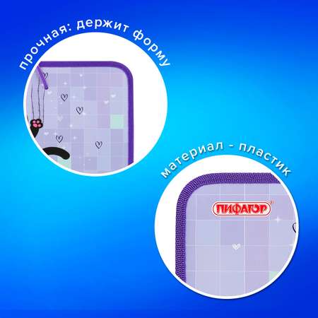 Папка для тетрадей Пифагор А4