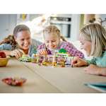 Конструктор LEGO Friends 41729 811 дет.