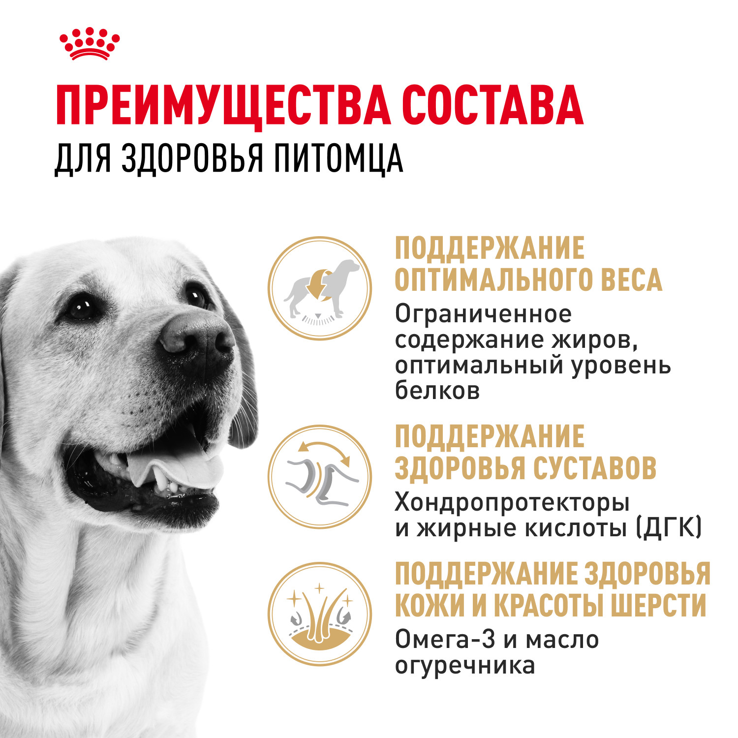 Корм для собак ROYAL CANIN лабрадоров 3кг - фото 3