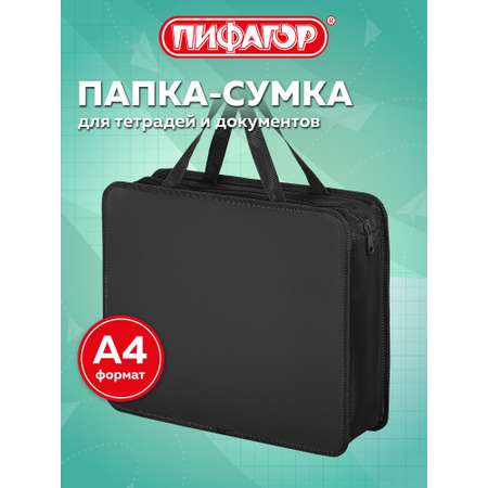 Папка для тетрадей Пифагор А4