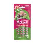 Крем-лакомство для кошек Molina 48г с уткой и индейкой здоровье мочевыводящей системы