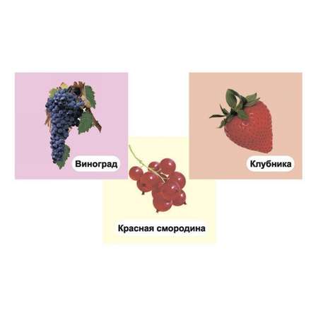 Карточки Учитель Ягоды