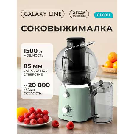 Соковыжималка Galaxy LINE GL0811 свежая мята