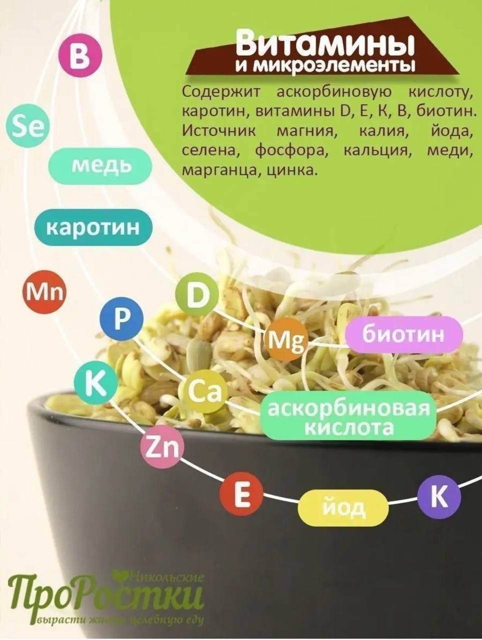 Семена для микрозелени Никольские ПроРостки подсолнечник - фото 6