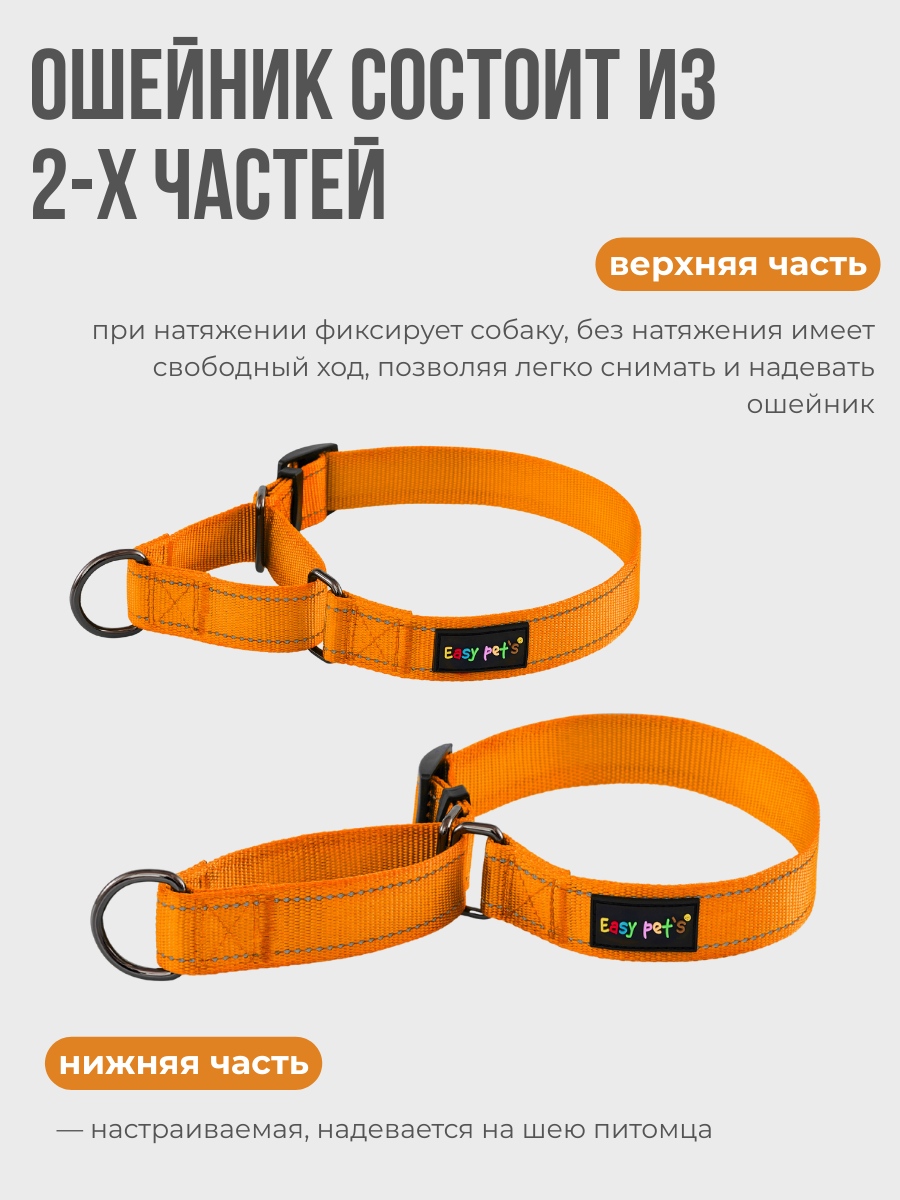 Ошейник для собак Easy Pets 5003 Martingale оранжевый р-р L 45-70см - фото 3