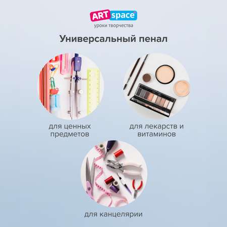 Пенал Спейс
