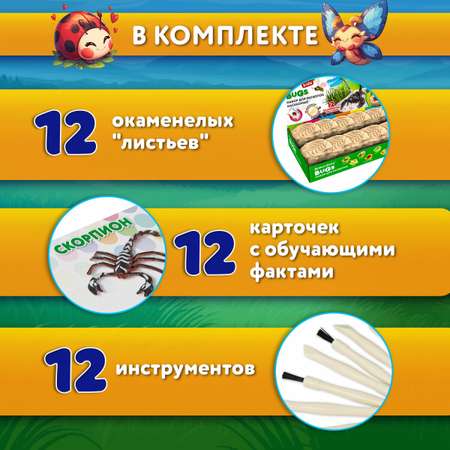 Набор для раскопок Brauberg