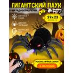 Паук РУ AUTODRIVE