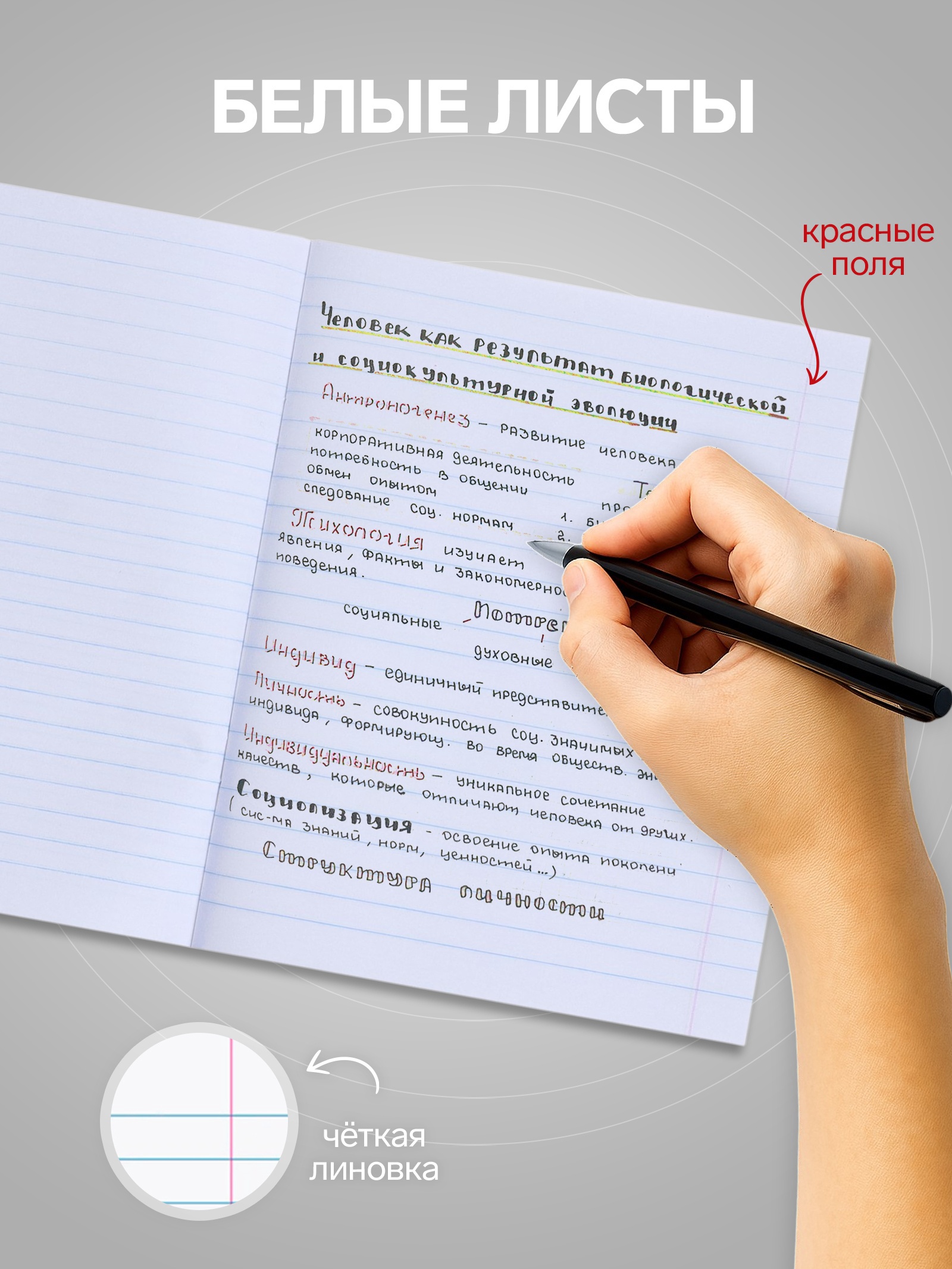 Тетрадь Calligrata клетка - фото 5