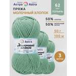 Пряжа для вязания Astra Premium Молочный хлопок 50 г 100 м 3 шт