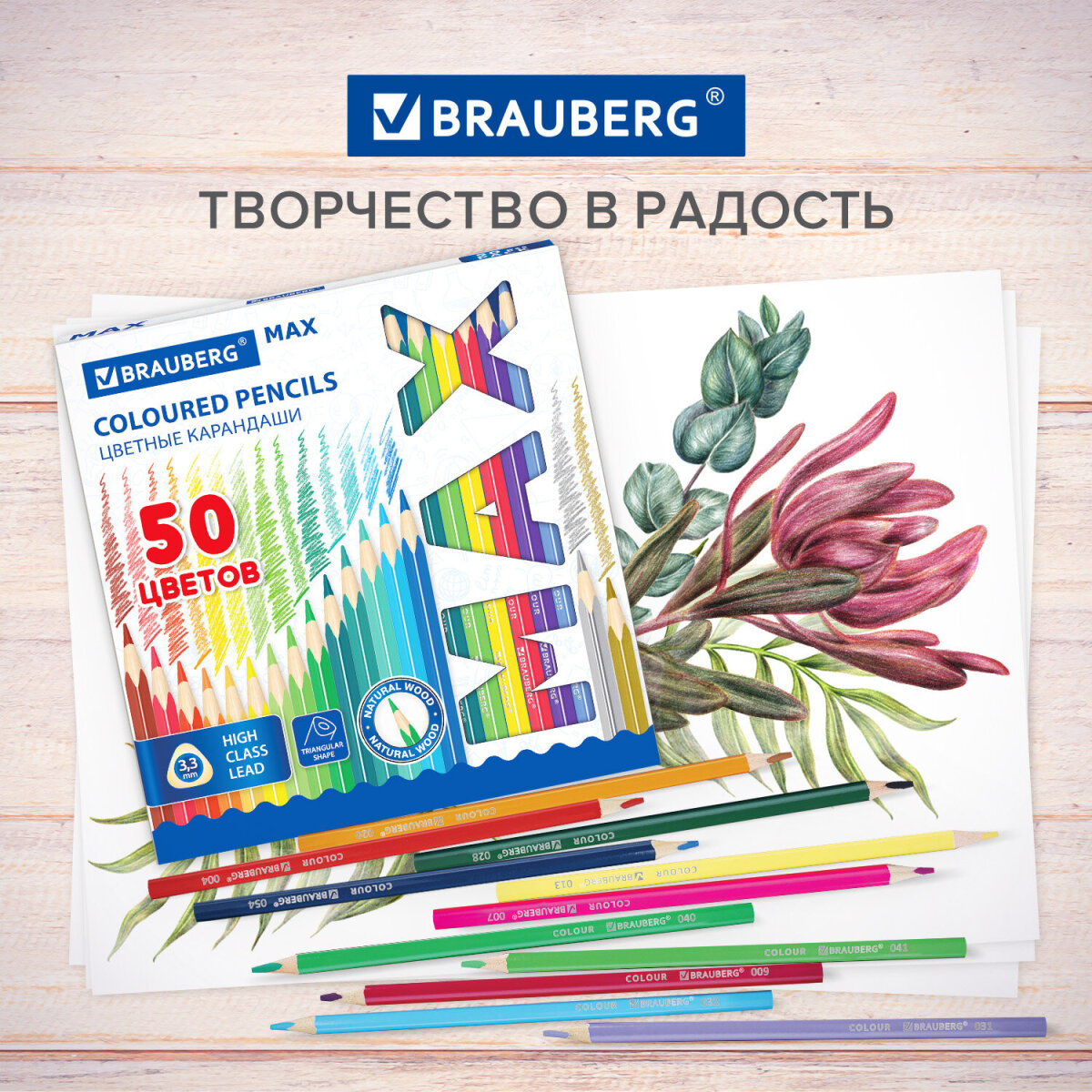 Карандаши цветные Brauberg 50 шт. - фото 7