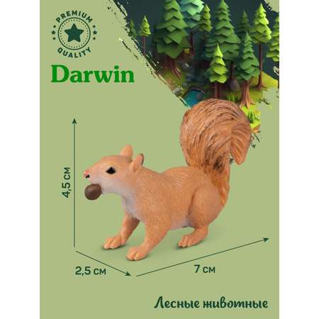 Фигурка DARWIN Животные Белка