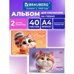 Альбом Brauberg мурчики А4 40 лист. 2 шт.