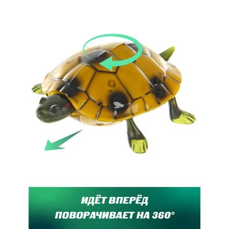 Рептилия РУ Veld Co Черепаха