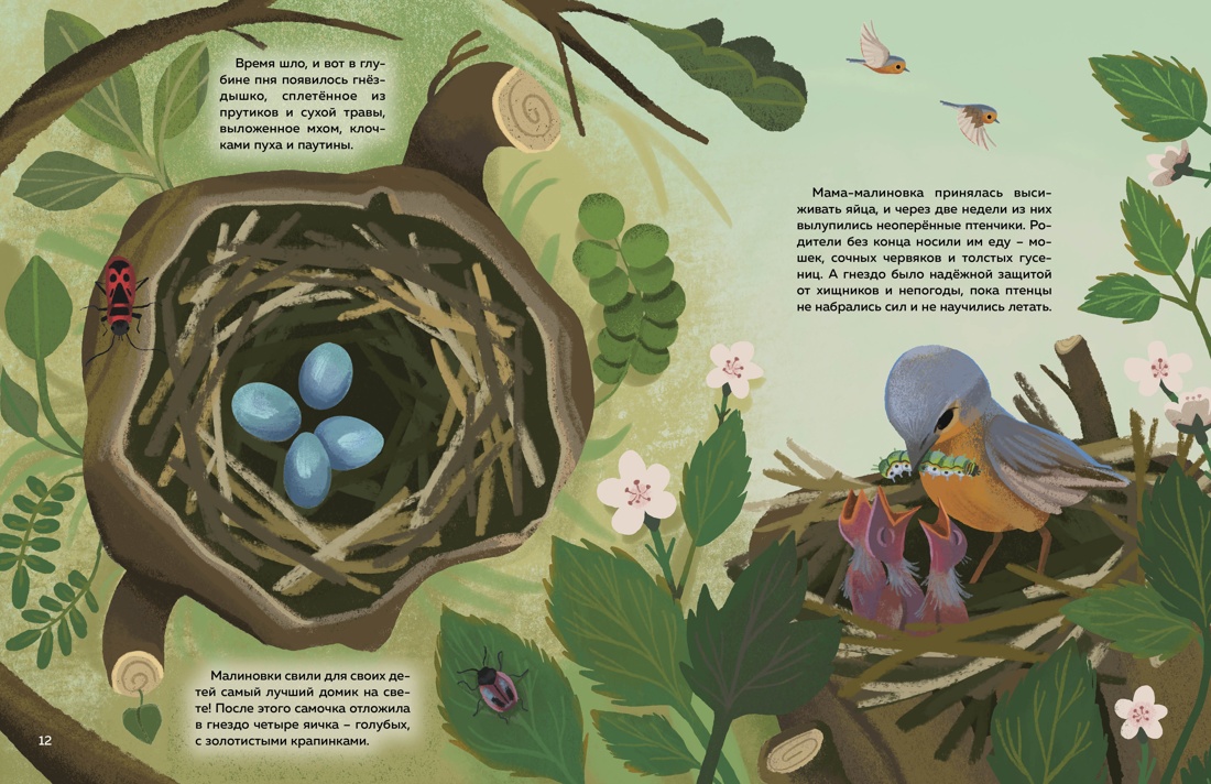 Книга Махаон Кто живёт в лесу Иллюстрированный атлас животных - фото 14