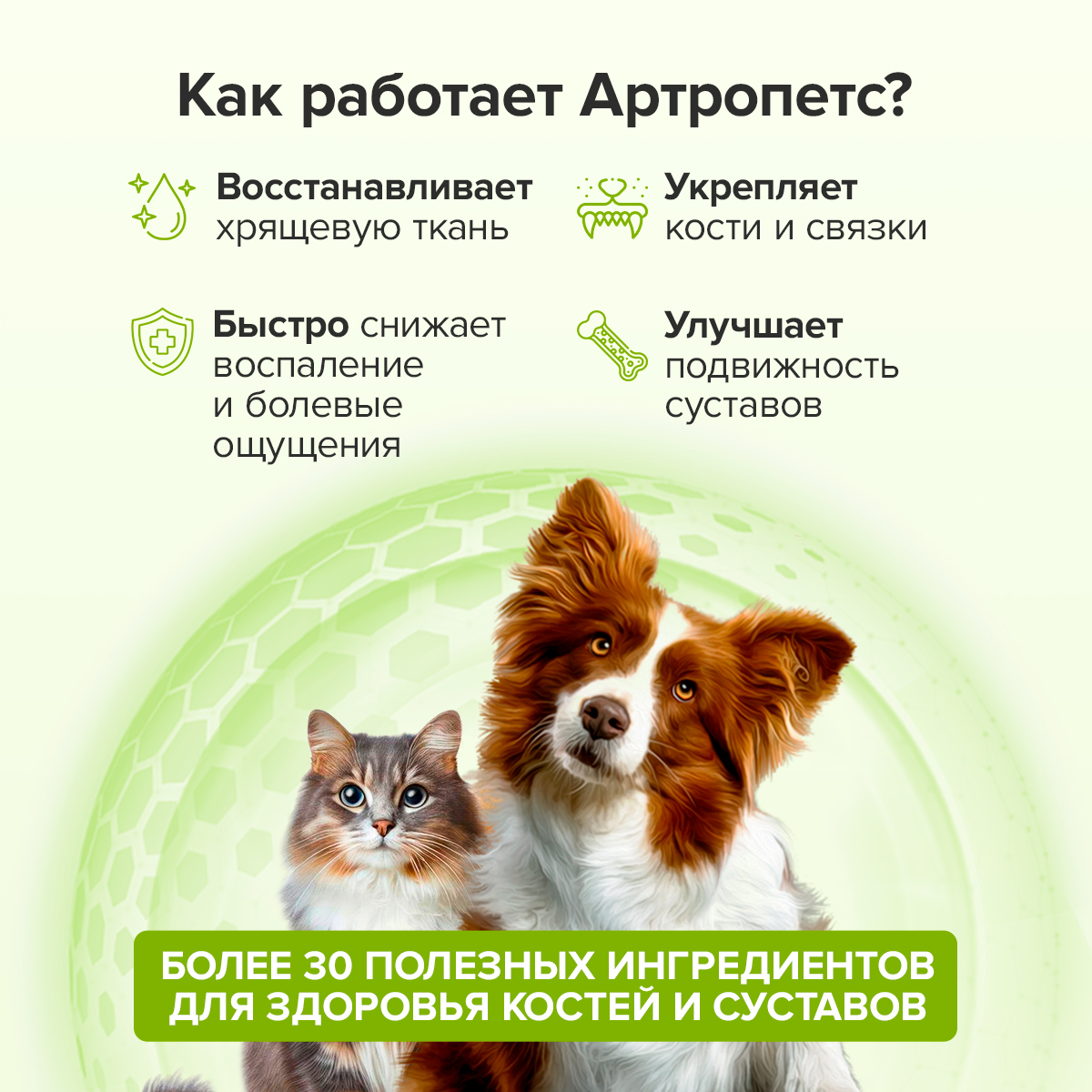 Корм для животных Pets health для укрепления костей и суставов собак и кошек глюкозамин хондроитин мсм - фото 2