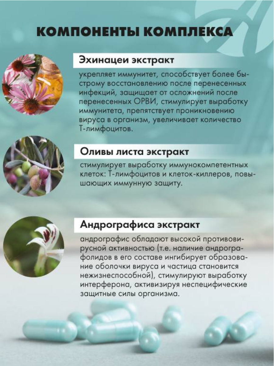 БАД Арт Лайф Супер Шилд Актив. Поддержка иммунитета 80 капсул - фото 5