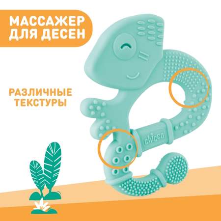 Прорезыватель Chicco Iguana с 2мес