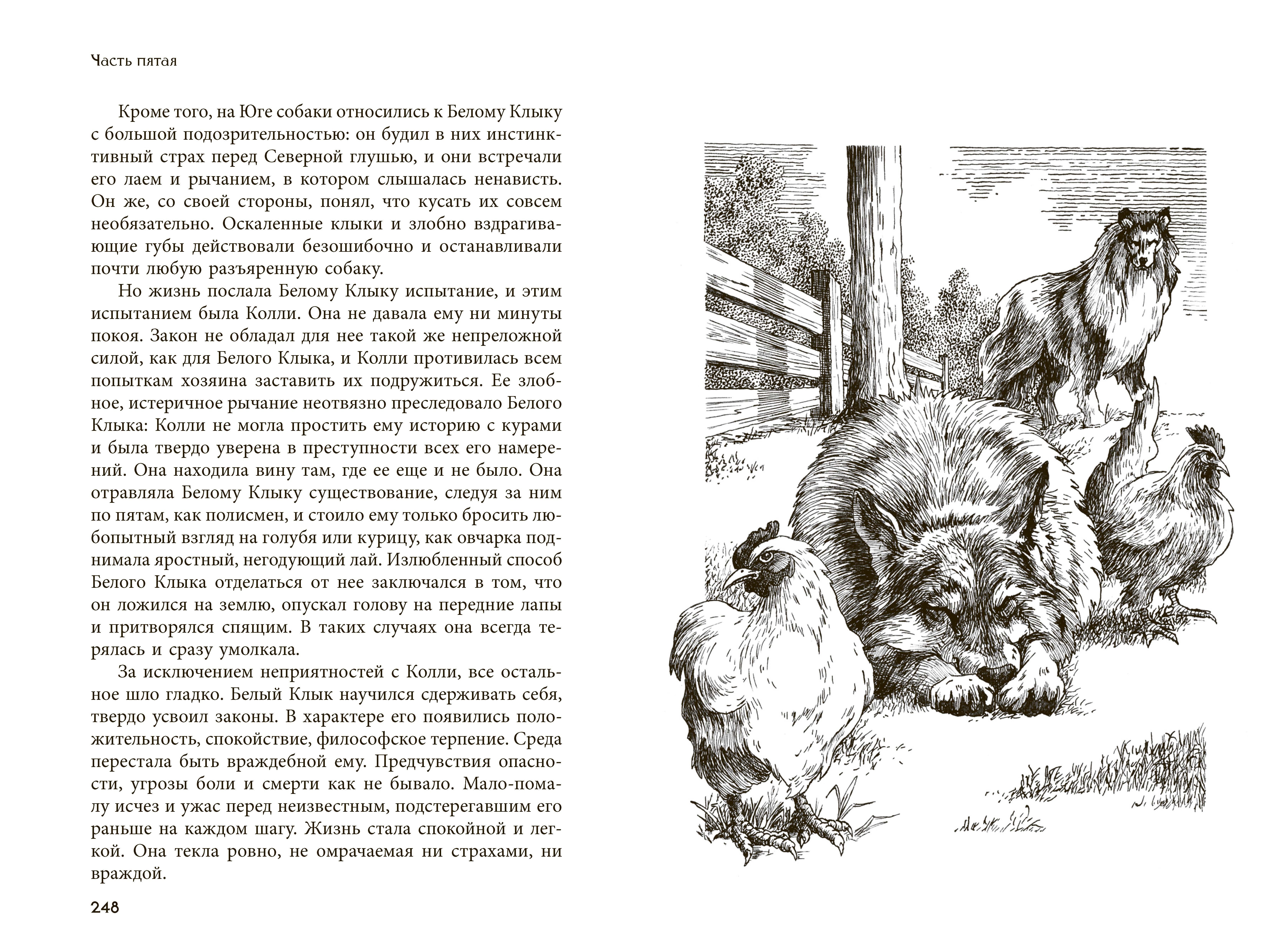 Книга Качели Белый Клык - фото 7